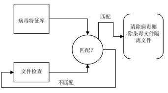 數(shù)字時(shí)代的守護(hù)者 防毒軟件與網(wǎng)絡(luò)信息安全軟件開發(fā)的重要性